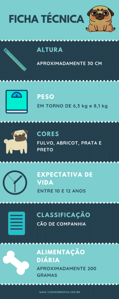 Infográfico características do cachorro pug