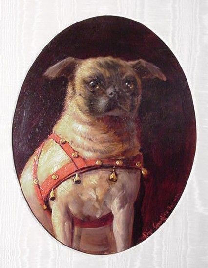 Pintura pug