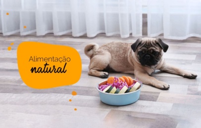 Alimentação natural para pugs: pug com um prato de vegetais