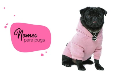 Nomes para pug: como escolher nome para o cachorro