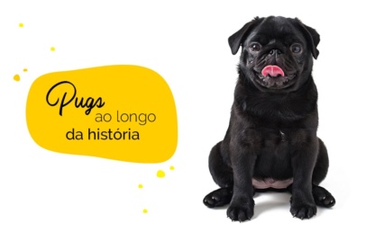Pugs: curiosidades históricas