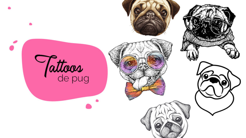Tatuagem de pug