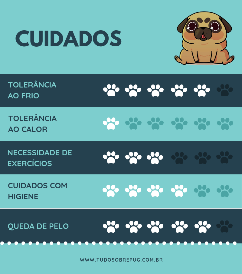 Infográfico: cuidado com pug