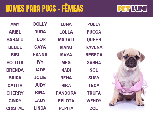 Nomes para pug: fêmeas