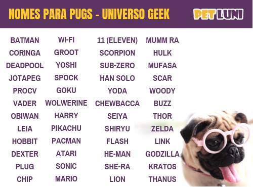 Nomes para pug: universo geek