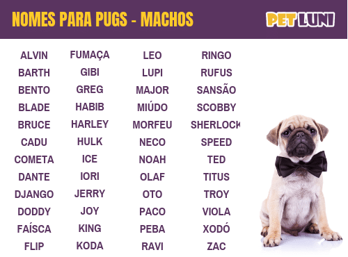 Nomes para pug: machos