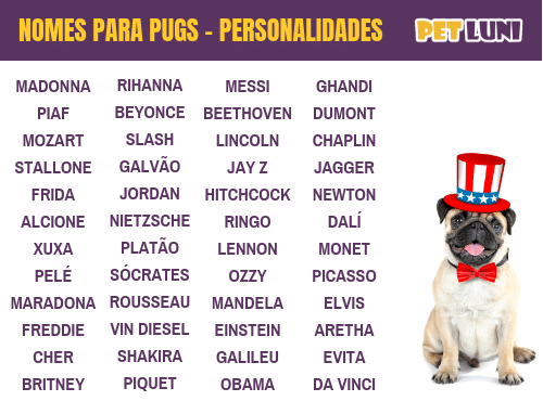 Nomes para pugs: personalidades