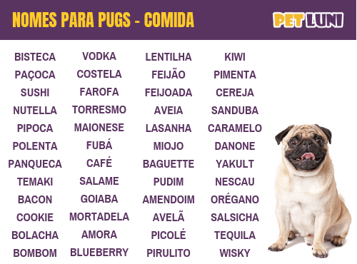 Nomes para pug: comida