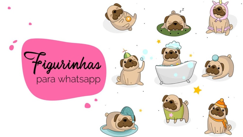 Como criar figurinhas para whatsapp: diferentes imagens de pugs