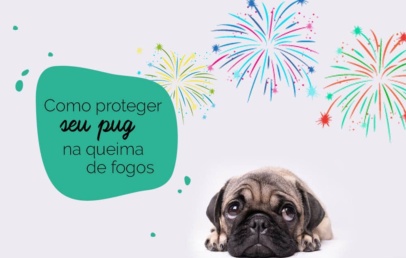 Truque do pano: pug com medo dos fogos de artifício