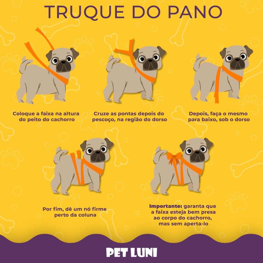 Truque do Pano para cães com medo de barulho de fogos de artificio