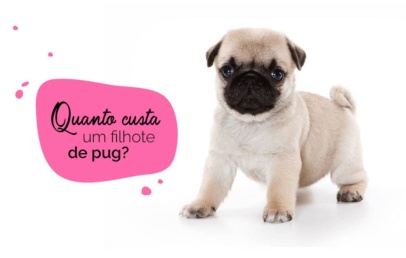 Foto de um pug filhote