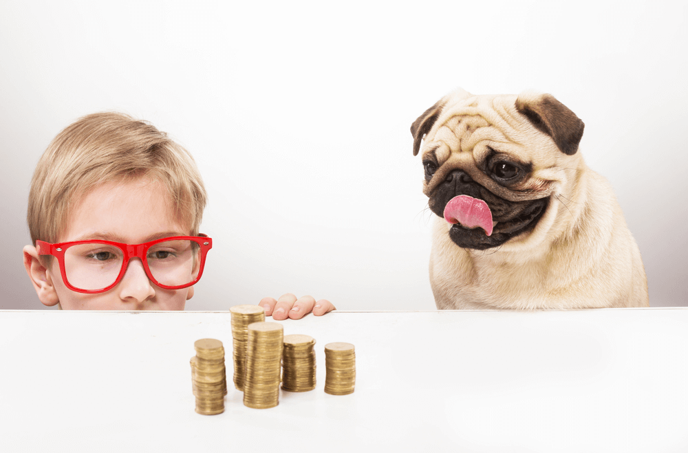 Quanto custa um pug filhote: menino e pug com uma pilha de moeda