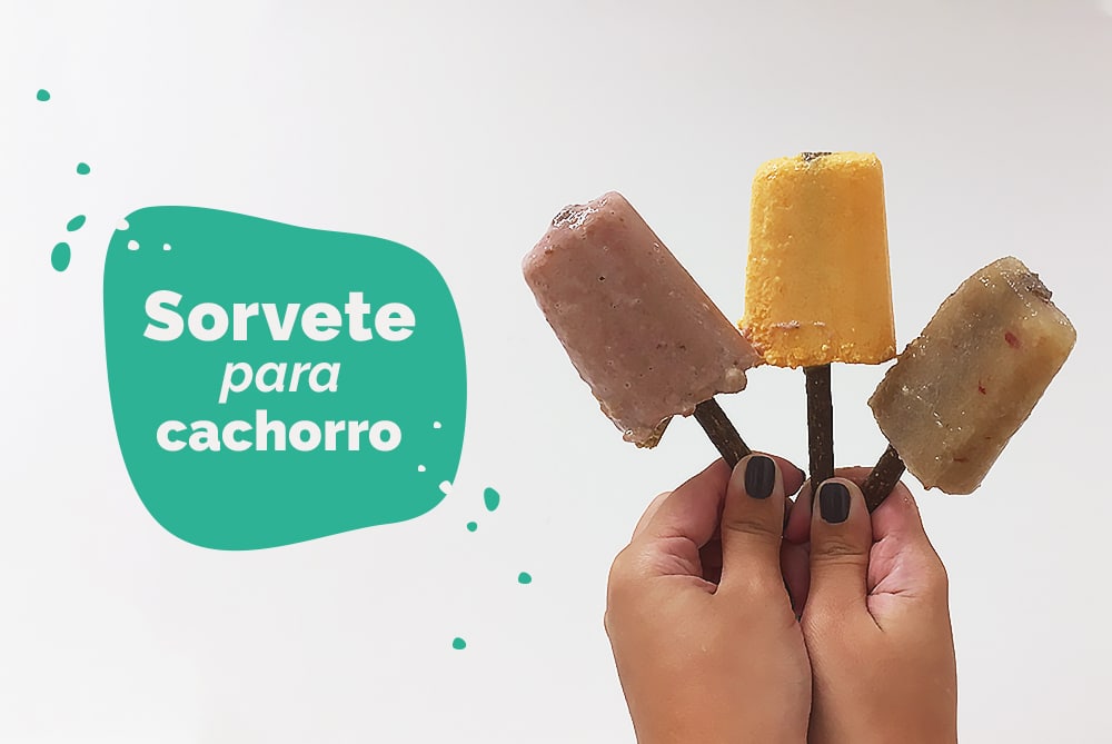 sorvete para cachorro: uma mão segurando três picolés para cachorro
