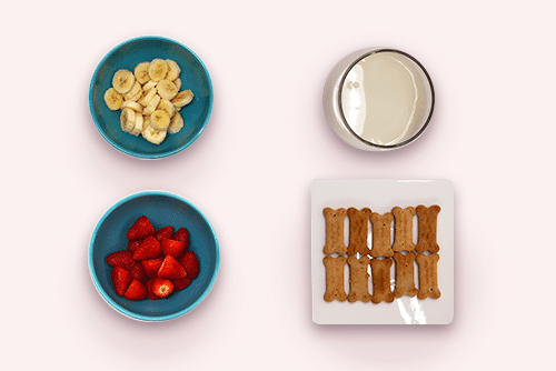 Tigelas com morango, banana, leite de arroz e biscoito para cachorro