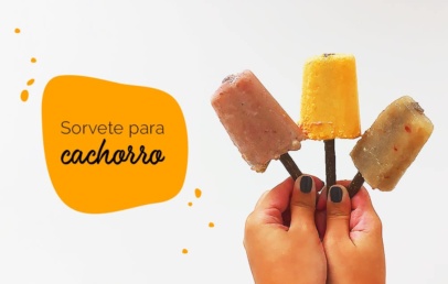 sorvete para cachorro: uma mão segurando três picolés para cachorro