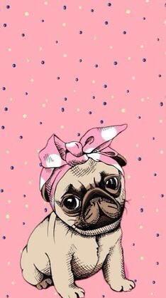 papel de parede para celular de pug filhote rosa desenho