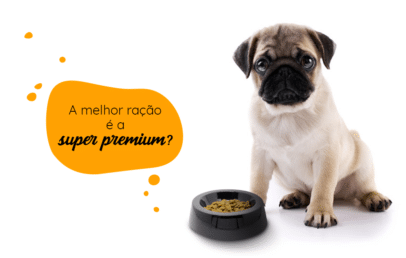 A melhor ração é a super premium? conheça a melhor ração