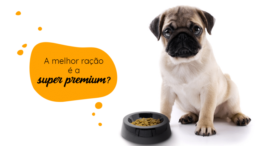 A melhor ração é a super premium? conheça a melhor ração