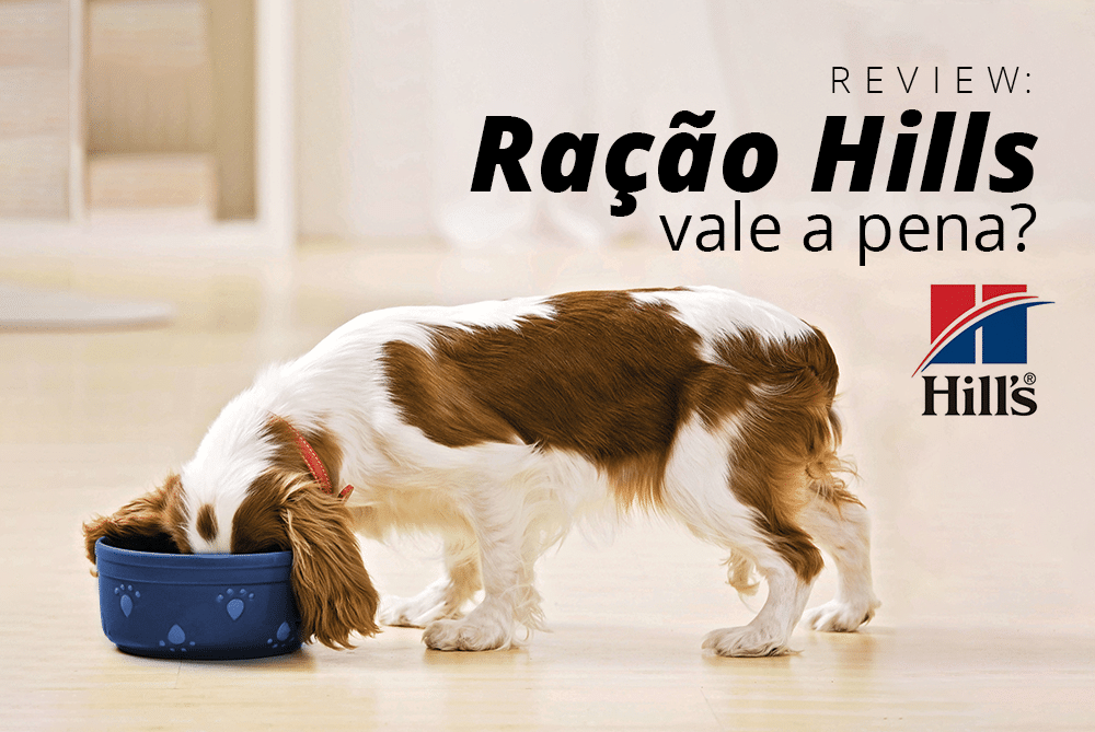 Review: Ração Hills vale a pena?