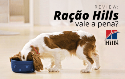 Review: Ração Hills vale a pena?