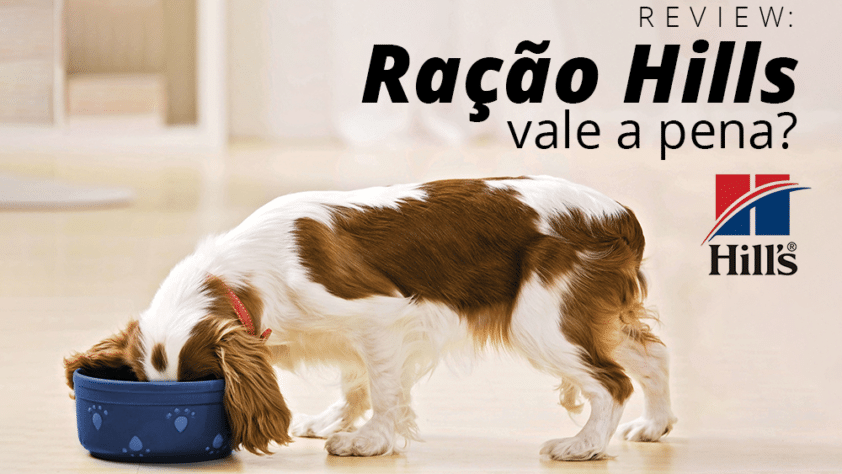 Review: Ração Hills vale a pena?