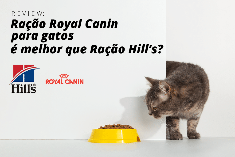Comparação entre a ração Royal Canin para Gatos e a ração Hills