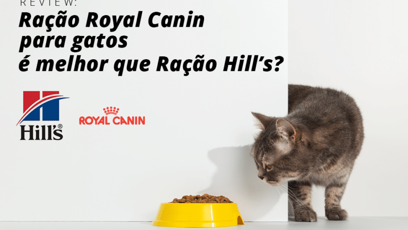 Comparação entre a ração Royal Canin para Gatos e a ração Hills